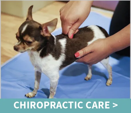 Linda P. Rock, DC Picture 6