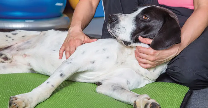 Linda P. Rock, DC Picture 5