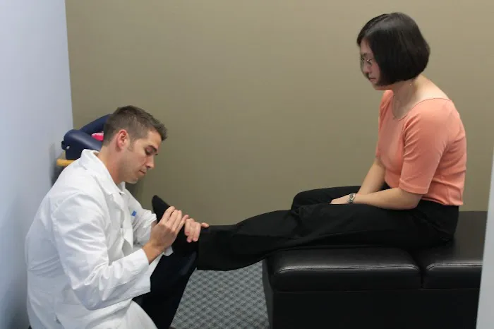 Tampa Back Pain Relief Chiropractic Picture 4