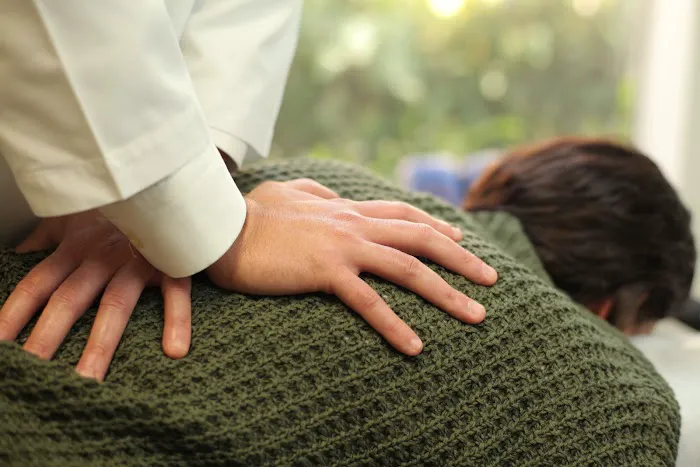 Tampa Back Pain Relief Chiropractic Picture 10