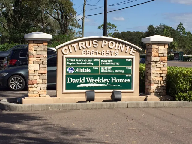 Tree of Life Wellness Picture 3