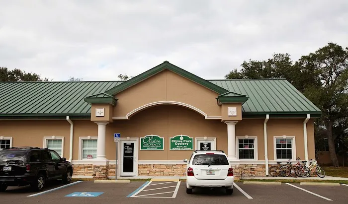 Tree of Life Wellness Picture 4