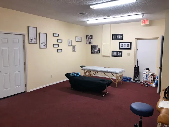 Kingdom Chiropractic-Tampa Picture 3