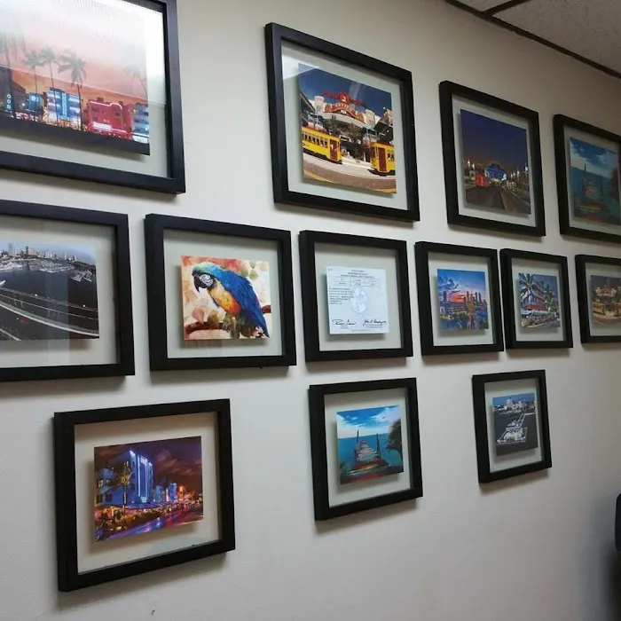 Kingdom Chiropractic-Tampa Picture 4