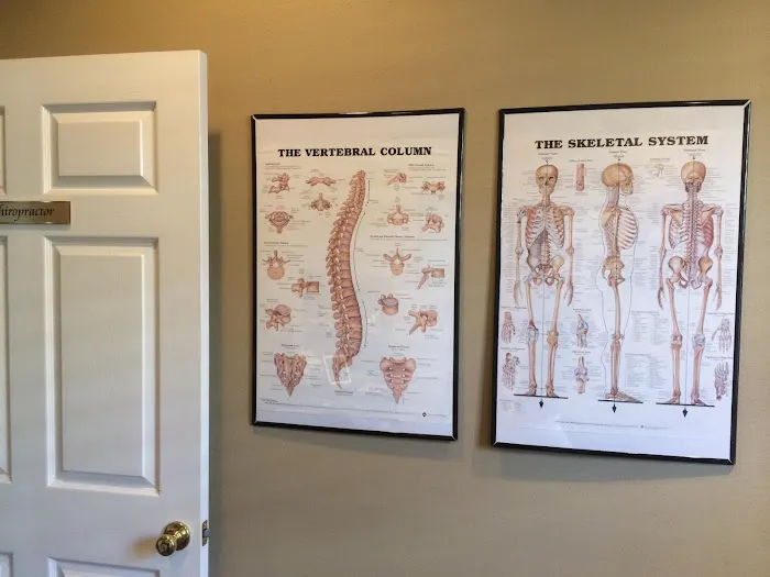 Innate Chiropractic & Wellness - Tampa Picture 10
