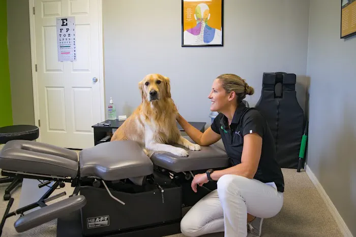OPTILIFE CHIROPRACTIC Picture 2