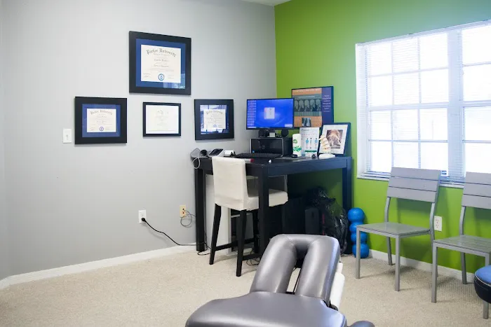 OPTILIFE CHIROPRACTIC Picture 8