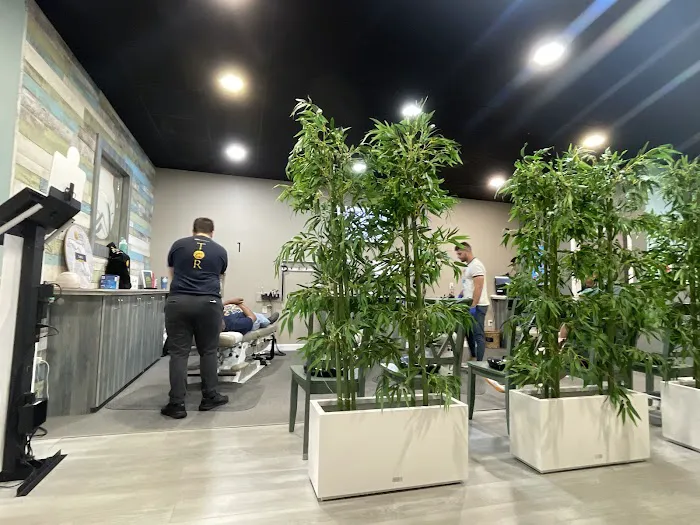 100% Chiropractic - Tampa Picture 5