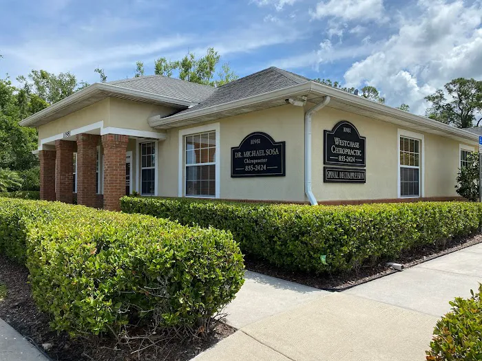 Westchase Chiropractic Picture 10