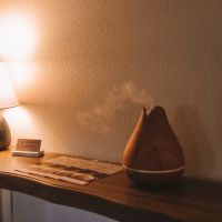 Sacred Spine Chiropractic ico