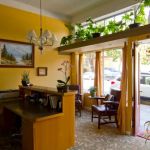 14th Street Chiropractic