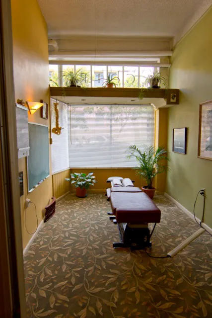14th Street Chiropractic Picture 5