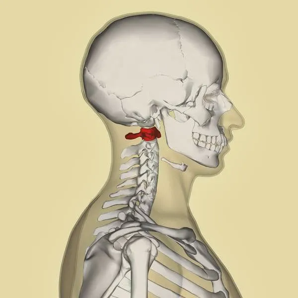 Upper Cervical of San Francisco | Dr. Ryan Lawlor Picture 8