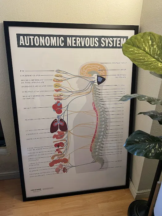 The Living Room Chiropractic Picture 1