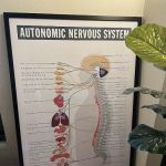 The Living Room Chiropractic