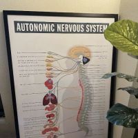 The Living Room Chiropractic ico