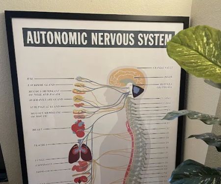 The Living Room Chiropractic