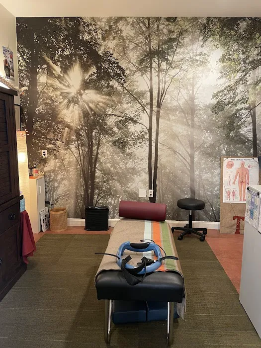 The Living Room Chiropractic Picture 5
