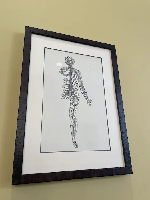 The Living Room Chiropractic Picture 10