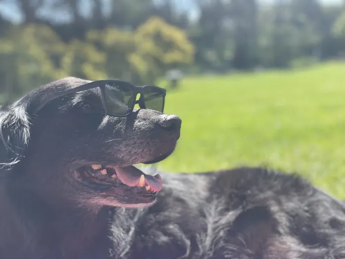 Thriving Life Wellness Center Picture 9