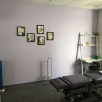 Chiro-Health, Inc