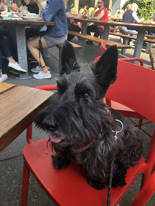 California Chiropractic Center Picture 3