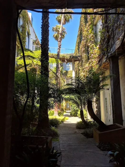 California Chiropractic Center Picture 8