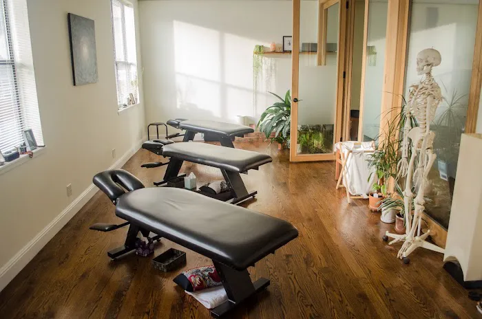 Rise Chiropractic & Wellness Picture 7