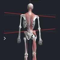 Align Spinal Care ico