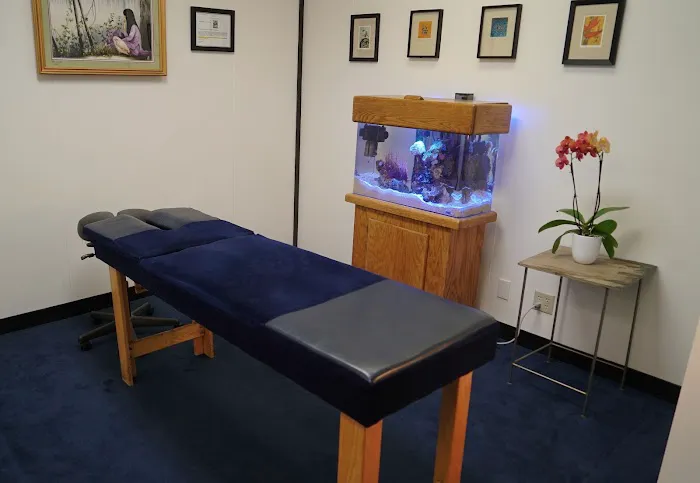 Shapero Chiropractic Picture 2