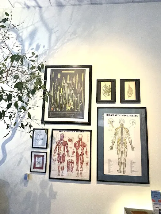 Rincon Chiropractic Acupuncture & Massage Picture 1