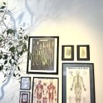 Rincon Chiropractic Acupuncture & Massage