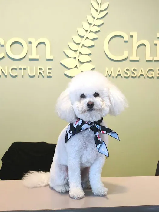 Rincon Chiropractic Acupuncture & Massage Picture 9