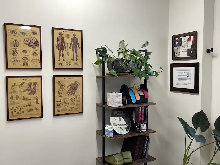 ProActive Chiropractic Picture 6