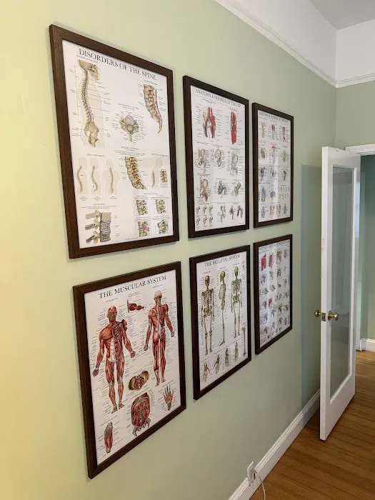 Daniel Fung Chiropractic and Sports Injury Solutions Picture 6