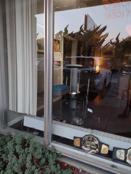 Daly City Chiropractic Center Picture 4