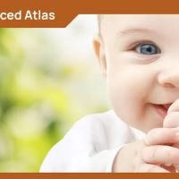 The Balanced Atlas ico