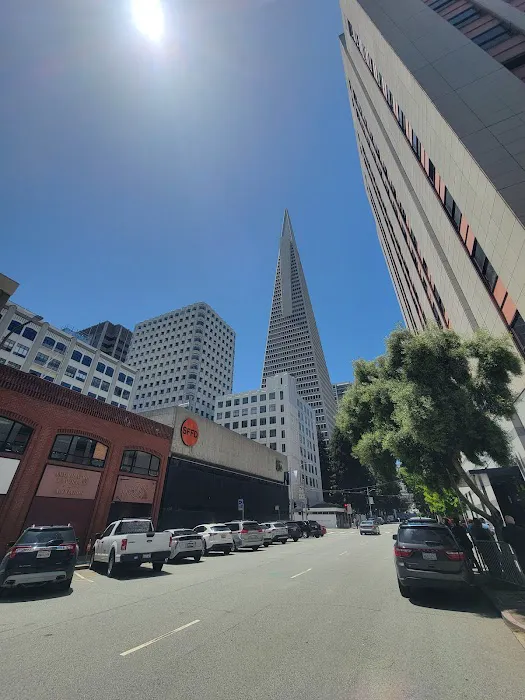 SF Custom Chiropractic - #1 Chiropractor Fisherman's Wharf Russian Hill Picture 6