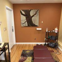 SF City Chiropractic ico