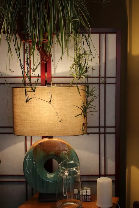 SF City Chiropractic Picture 4