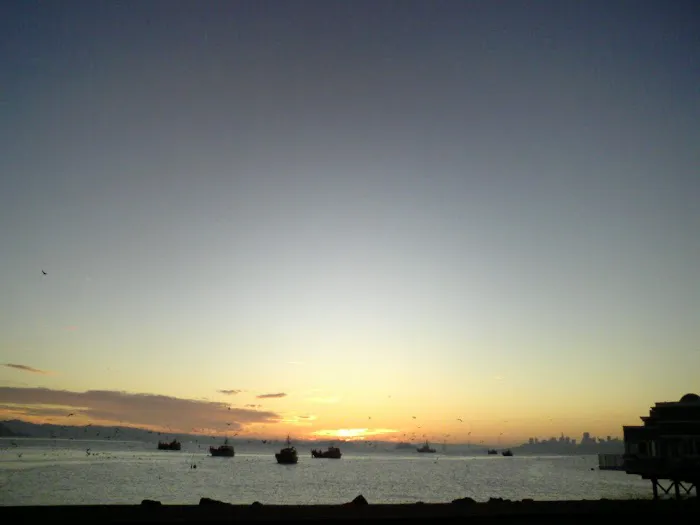 Axis Chiropractic, integrated care Picture 5