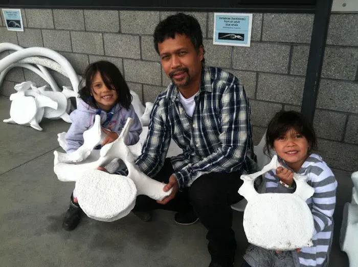 Axis Chiropractic, integrated care Picture 6