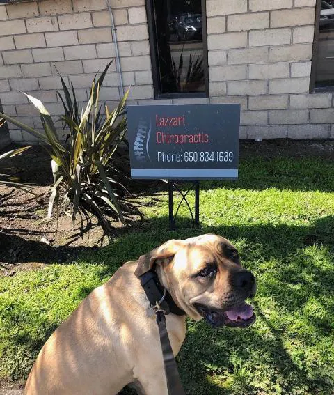 Lazzari Chiropractic Picture 1