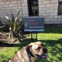 Lazzari Chiropractic ico