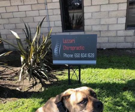 Lazzari Chiropractic