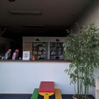 South City Chiropractic ico