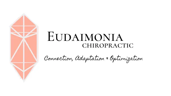 Eudaimonia Chiropractic Picture 4