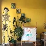 Schilbach Chiropractic
