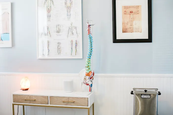 Alpha Back Chiropractic Picture 6