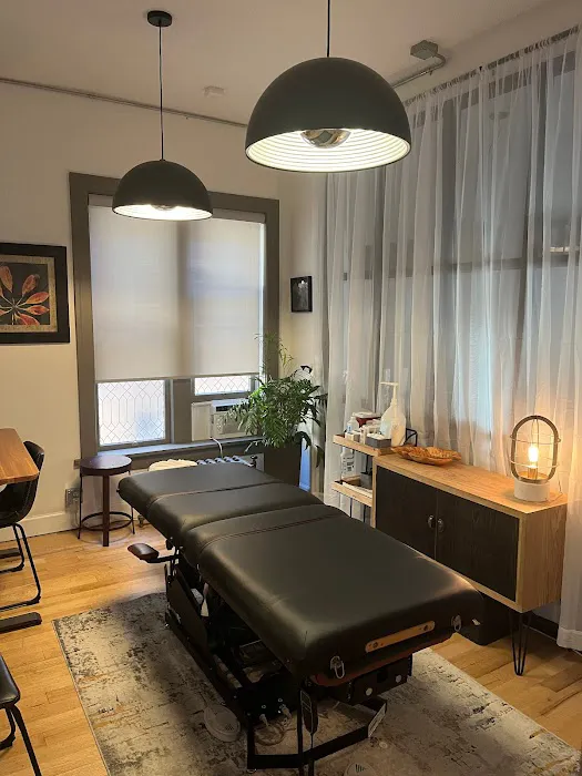 Moving Body Chiropractic - Chiropractors & Wellness Center in Capitol Hill, Denver Picture 5